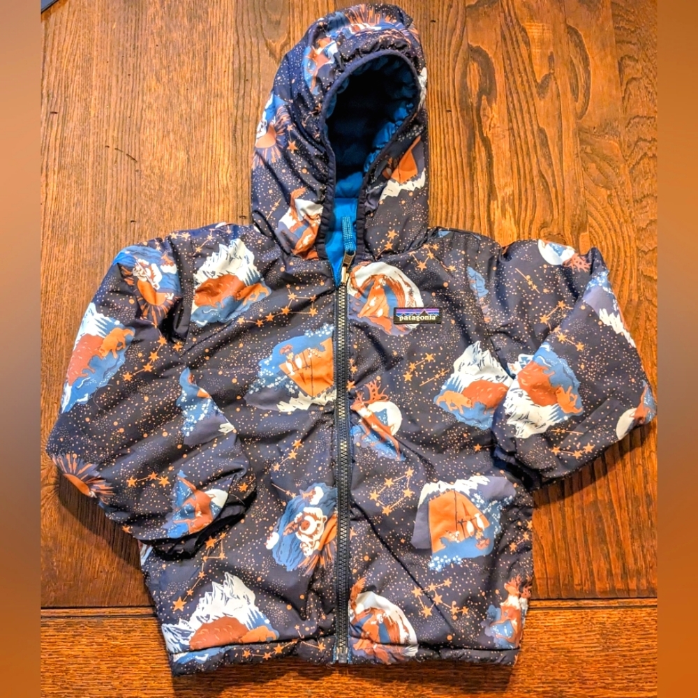 Patagonia Reversible Down Hooded Jacket